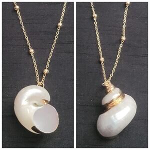 Beachy sea shell necklace with gold accents on dainty satellite bead chain